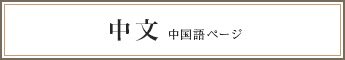 中文